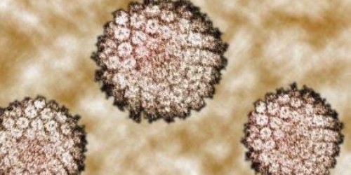 Is Cancer Contagious?