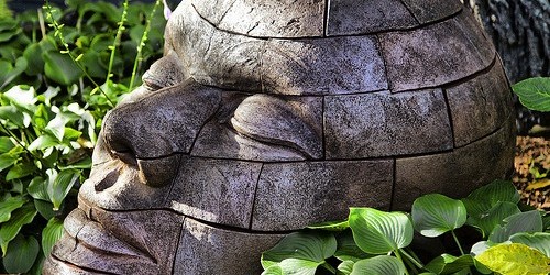 What Your Dreams Tell You About Your Health