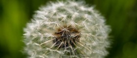 Help For Sinus Pain, Pressure, And Headaches