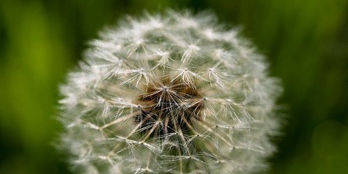 Help For Sinus Pain, Pressure, And Headaches