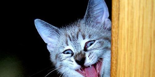 Laughter Is The Best Medicine: 6 Health Benefits Of Laughter