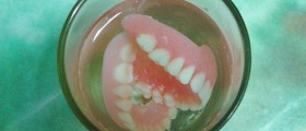 Scientists Create Tooth Replacements With Mouse Cells