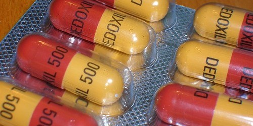 CDC Warns Of Potential Catastrophe Of Antibiotic Resistance