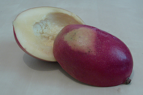 Slideshow picture