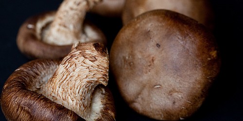 Vitamin D - Benefits And Sources