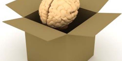 The Return Of 'Shock Therapy'