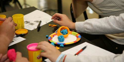 Cell Plasticity And How It Relates To Heterogeneity In Cancer