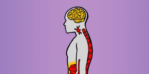 Quickly Evolving Tactics Of HIV Treatment