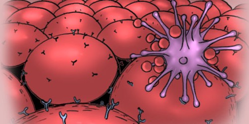 Viral Therapy: Potential Single Shot Cure For Cancer?