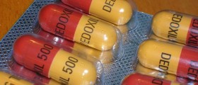 The Ultimate Guide To Antibiotics