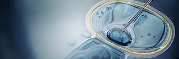 Male fertility and ICSI risks