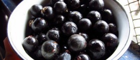 Acai cleanse review