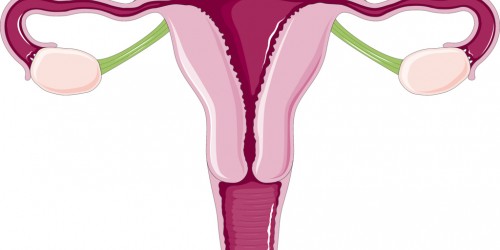 Possible causes of uterus enlargement