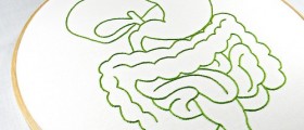 A Journey Through The Digestive System: From Your Plate To A Toilet