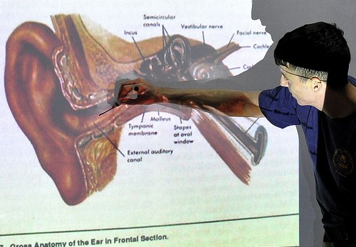 Slideshow picture