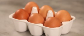 10 Best Egg Recipes