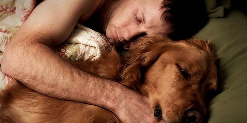 The Top Hypoallergenic Pets For People With Allergies