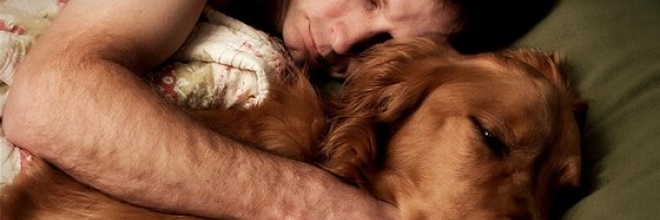 The Top Hypoallergenic Pets For People With Allergies