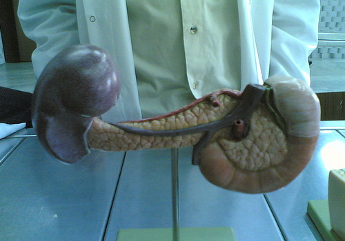 Slideshow picture