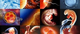 Sperm washing and Intrauterine Insemination (IUI)