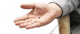 Digital hearing aids: is the cost worth it?