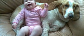 Pets and babies - do they combine?