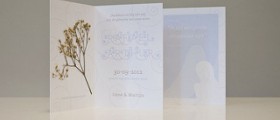 Birth announcement ideas