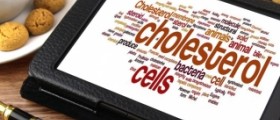 Cholesterol: effects of high cholesterol