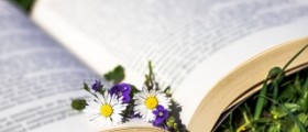 Naturopathy - a cure for all diseases