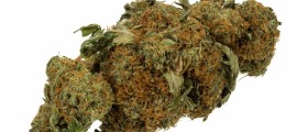 Marijuana and pregnancy