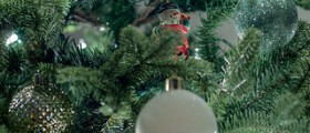 Does your Christmas tree make you ill?