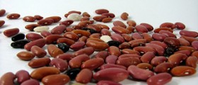 Foods low in cholesterol