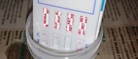 Discuss your problem to a test clear drug testing advisor