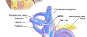 Inner ear disorders