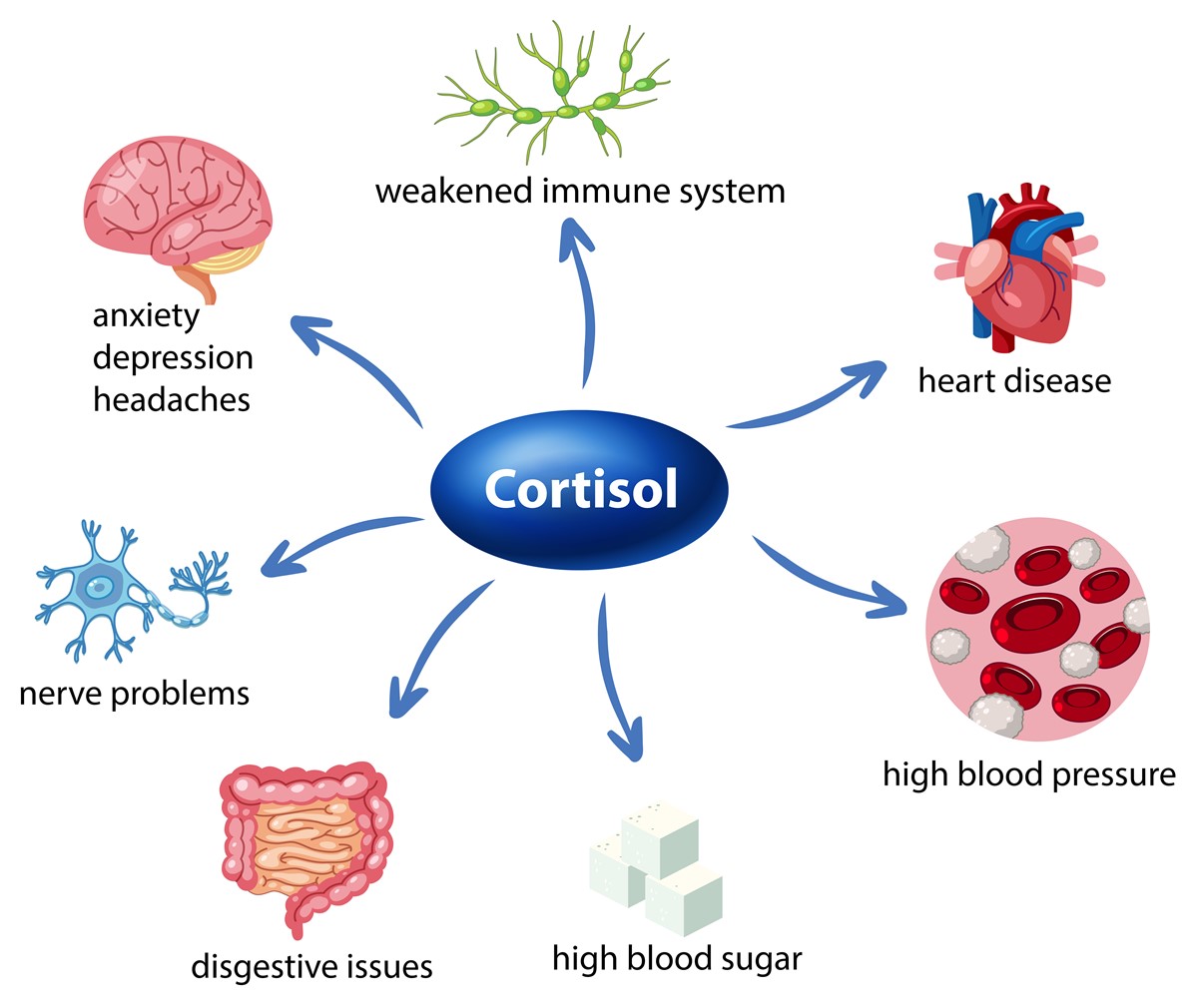 Elevated cortisol levels