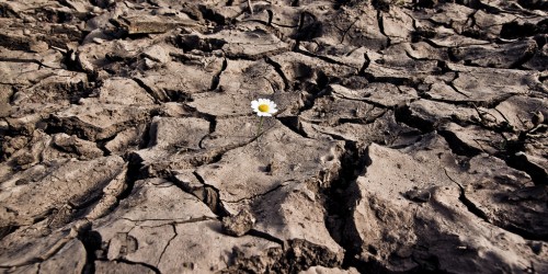 Top 5 Natural Remedies For Fertility