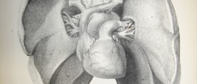 Fluid in lungs causes