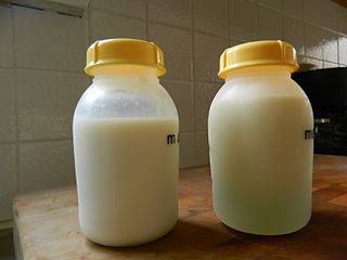 fortify breast milk Dai hoi bap tit
