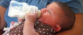 What is "vegan formula"?