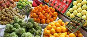 High fiber low carb foods