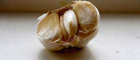 Herbal cure for herpes
