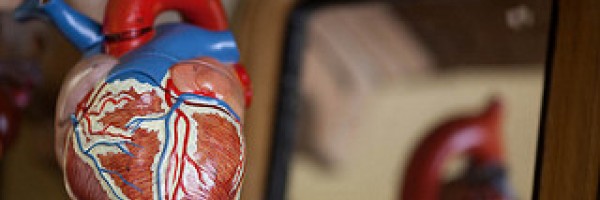 Prevention of sudden cardiac death