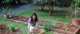 How to start herb gardening