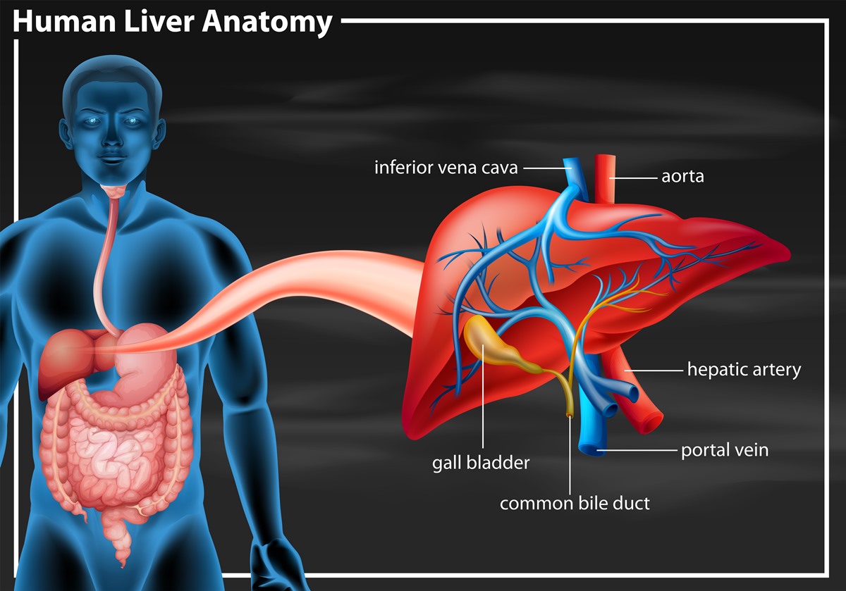 hida-scan-for-bile-diseases-gastrointestinal-disorders-medical