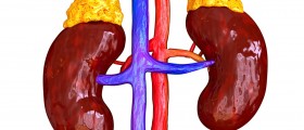 Causes, Symptoms and Treatment for Enlarged Adrenal Glands