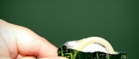 Hormone-free birth control options