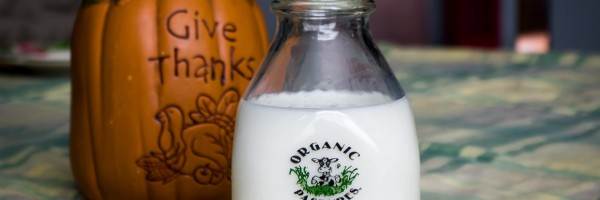 Raw milk: yes or no?