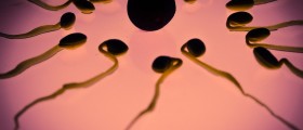 Improve sperm motility and morphology