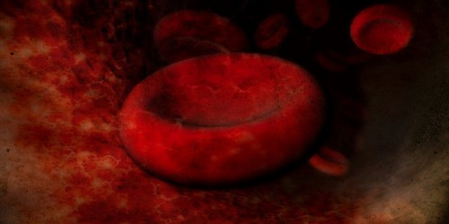 Klotho, The Brain Power Hormone You Have Never Heard Of