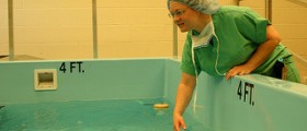 Colon hydrotherapy review